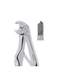 Extracting Forceps
